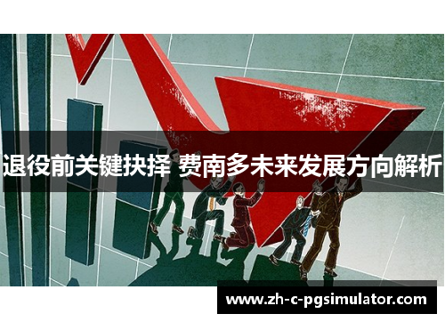 退役前关键抉择 费南多未来发展方向解析 退役前关键抉择 费南多未来发展方向解析