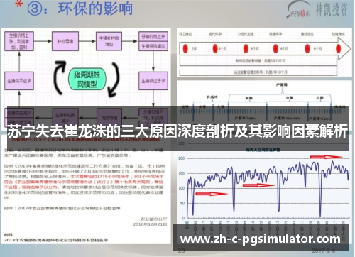苏宁失去崔龙洙的三大原因深度剖析及其影响因素解析