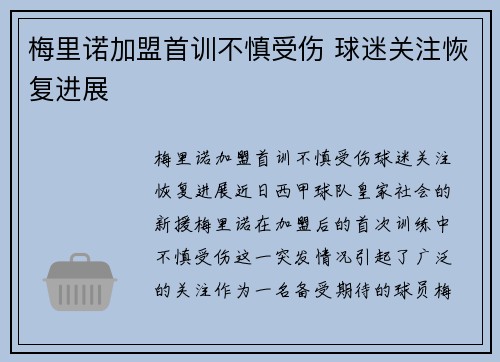 梅里诺加盟首训不慎受伤 球迷关注恢复进展